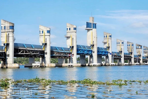 Cống Cái Lớn chủ động vận hành phục vụ sản xuất và sinh hoạt của người dân.