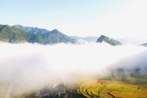 Cánh đồng Lìm Mông đẹp như tranh thủy mạc.