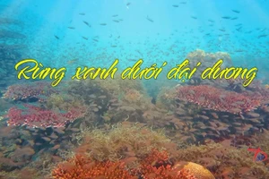 Một trong những bộ phim khoa học tham gia dự giải tại Liên hoan.