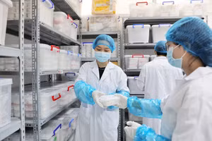 Hàng nghìn mẫu xương được bảo quản nghiêm ngặt trong phòng lưu mẫu.