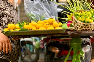 Bản sắc Kẻ Chợ hiển hiện ở từng ngõ phố Thăng Long - Hà Nội.