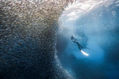 Ảnh: NGUYỄN NGỌC THIỆN