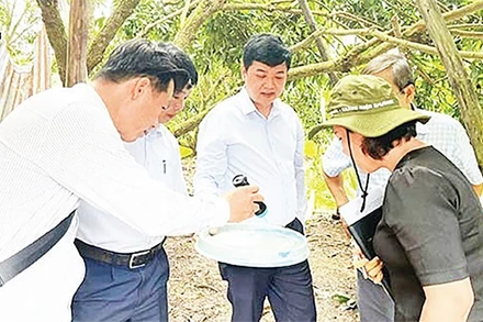 Cán bộ ngành y tế Cần Thơ kiểm tra công tác phòng, chống bệnh sốt xuất huyết.