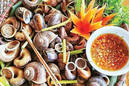 Món ốc núi Tây Ninh luộc sả gừng.