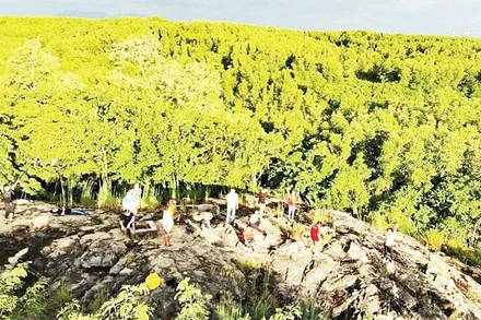 Du khách tham quan ấp đảo Thiềng Liềng. (Ảnh CTV)