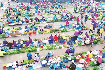 Chợ "chồm hổm" nhìn từ trên cao.