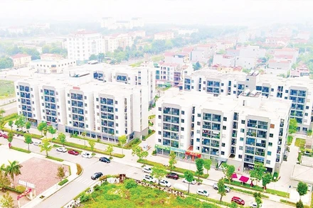 Dự án nhà ở xã hội thuộc Khu đô thị mới Thanh Lâm - Đại Thịnh 2 (xã Quang Minh, Hà Nội).