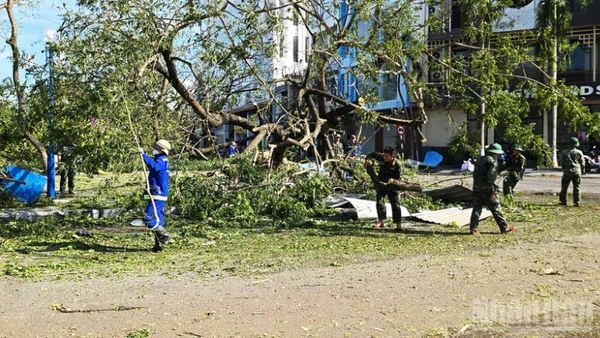 Lực lượng bộ đội cùng công nhân công ty môi trường dọn dẹp cây bị đổ gãy do bão số 13.