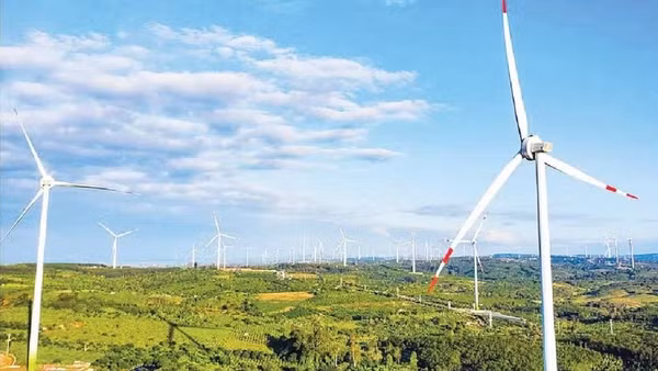 Cánh đồng điện gió Ea Nam, Đắk Lắk. (Ảnh: TRUNG NAM)