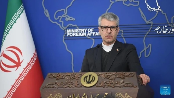 Người phát ngôn Bộ Ngoại giao Iran Esmaeil Baghaei. (Ảnh: Xinhua)