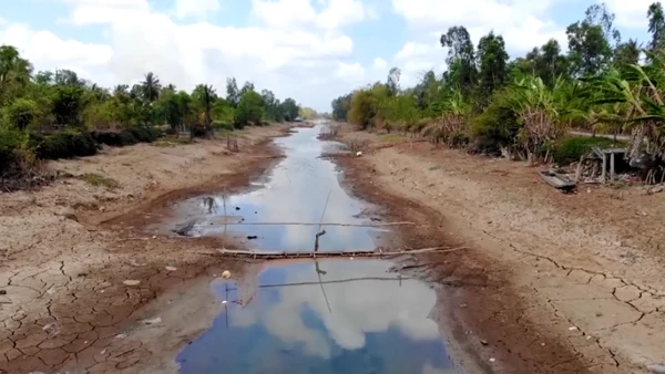 Tình hình xâm nhập mặn tại Đồng bằng sông Cửu Long được đánh giá không cực đoan như các năm trước đây.