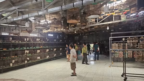Cơ quan chức năng kiểm tra một cơ sở nuôi chim trái phép.