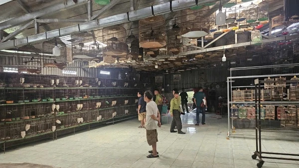 Cơ quan chức năng kiểm tra một cơ sở nuôi chim trái phép.