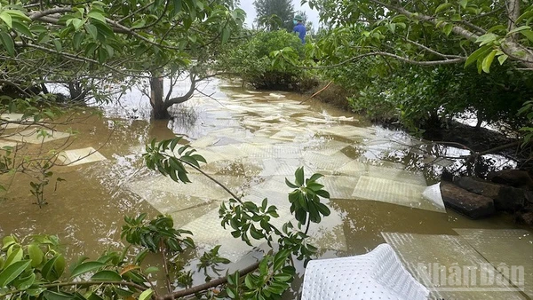 Dầu DO lan rộng trên sông và kênh mương.