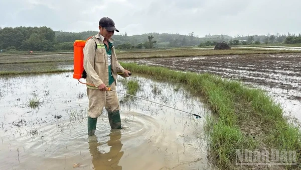 Sử dụng chế phẩm sinh học xử lý ô nhiễm do tràn dầu.