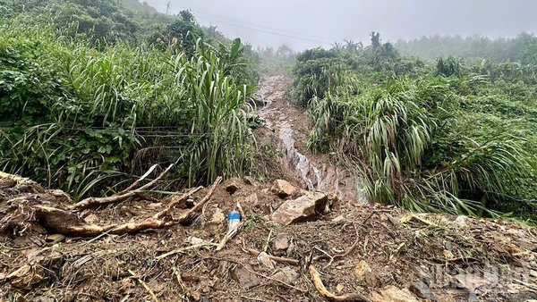 Mưa lớn khiến các xã miền núi tỉnh Quảng Ngãi liên tục xảy ra sạt lở núi.