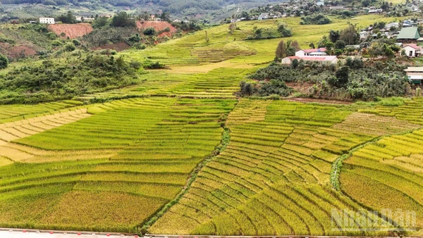 Gắn kết du lịch sinh thái núi rừng và biển đảo là định hướng chiến lược để tỉnh Quảng Ngãi định vị trên bản đồ du lịch trong nước.