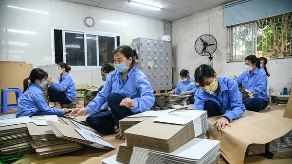 Ảnh minh họa: THÀNH ĐẠT