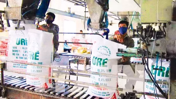 Đóng gói sản phẩm đạm urê tại Công ty TNHH MTV đạm Ninh Bình. (Ảnh TTXVN)