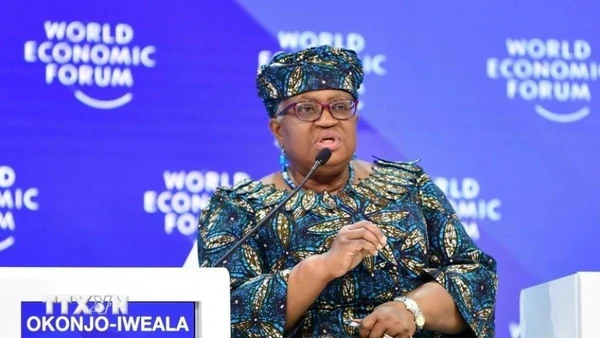 Tổng Giám đốc WTO Ngozi Okonjo-Iweala. (Ảnh: THX/TTXVN)