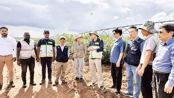 Đoàn công tác Bộ Nông nghiệp và Môi trường khảo sát sản xuất sắn tại Cộng hòa Angola. (Ảnh: TRUNG TÂM KHUYẾN NÔNG QUỐC GIA)