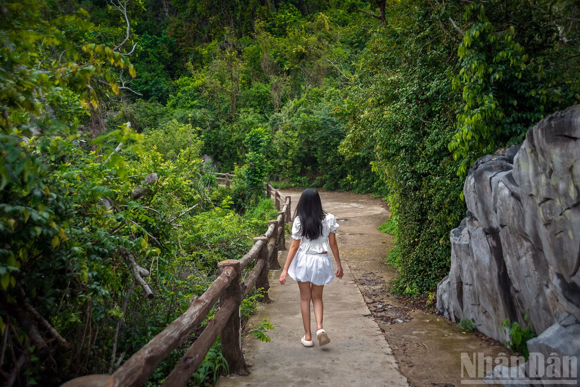 ndo_br_5-rungxanhthanhbinh796.jpg