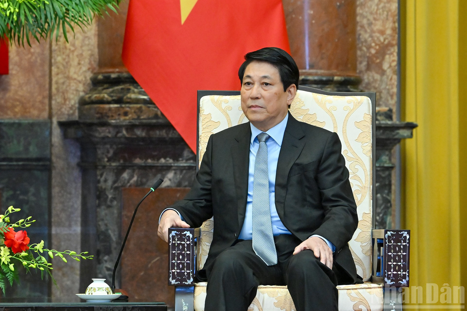 Chủ tịch nước Lương Cường phát biểu tại buổi tiếp. ndo_br_4.jpg
