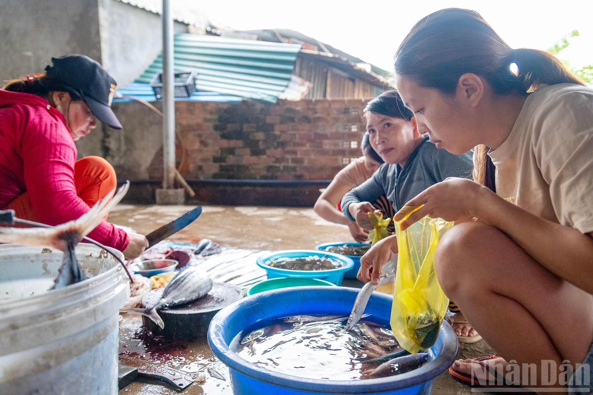 Chợ Ninh Vân, nơi người dân bày bán những hải sản mặn mòi sau những chuyến đi biển. Chợ chỉ họp vào sáng sớm mỗi ngày. ndo_br_7.jpg