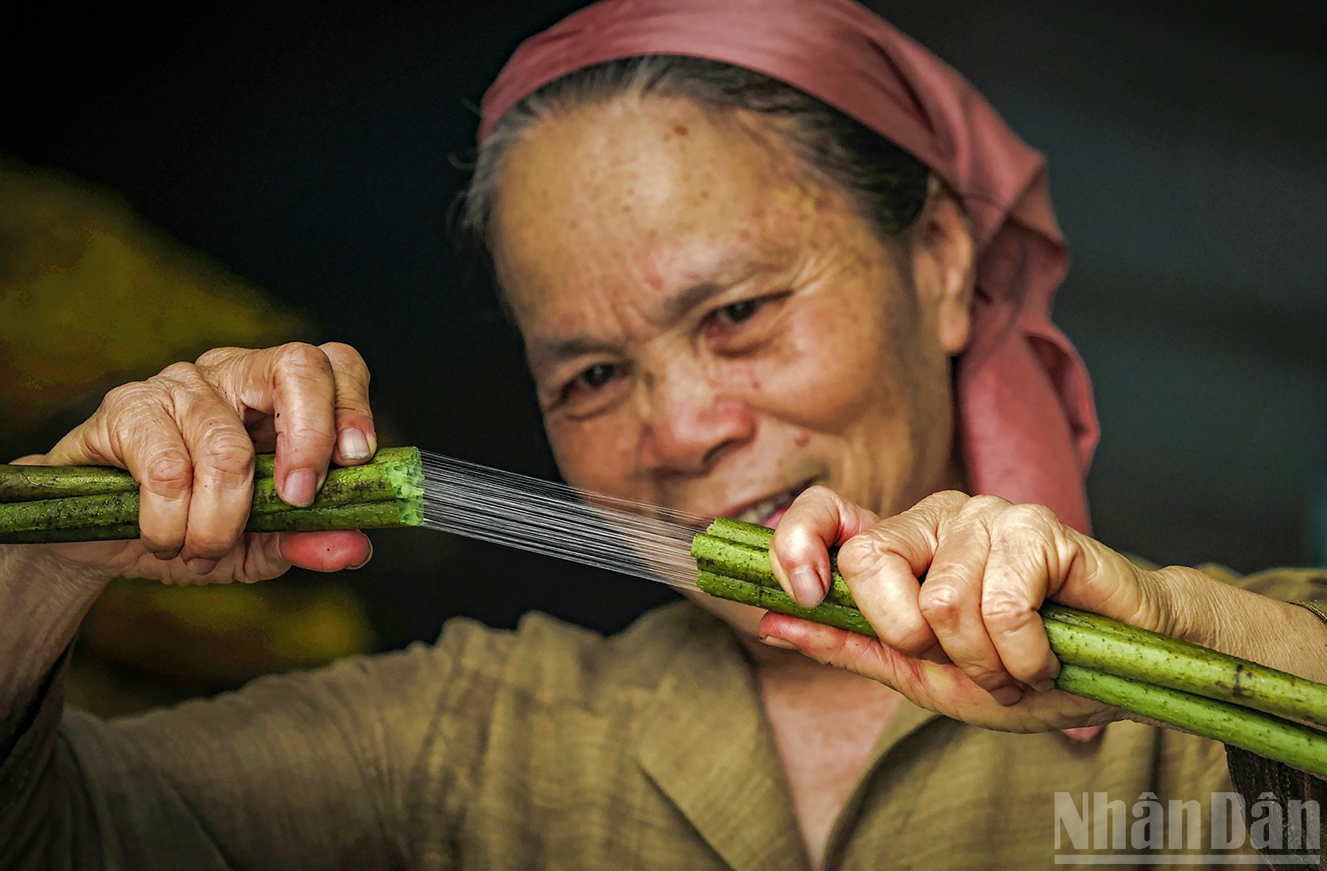 ndo_br_2-the-farmer-who-fought-his-life-for-the-det-lua-and-sen-people.jpg