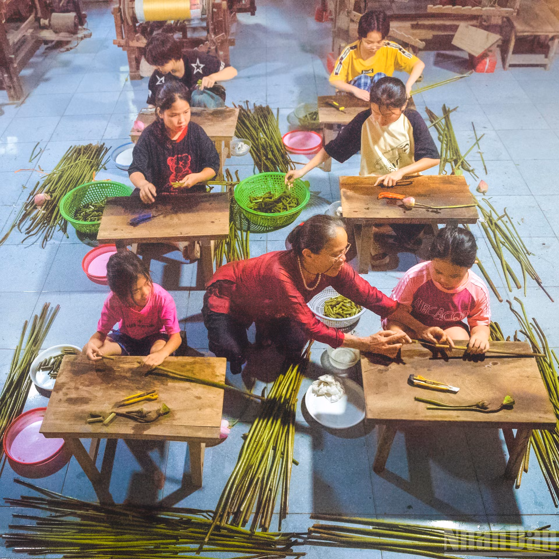 ndo_br_9-ba-thuan-day-nghe-lam-to-sen-mien-phi-cho-cac-chau-nho.jpg