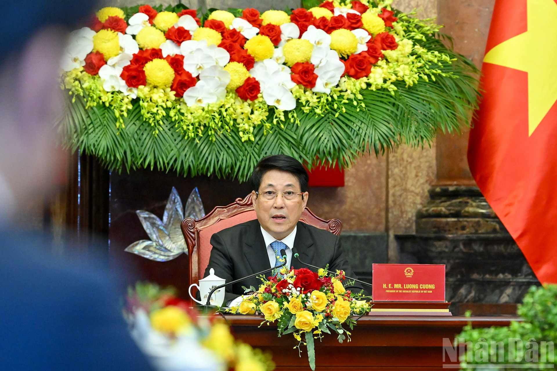 President Luong Cuong speaks at the reception. ndo_br_9.jpg