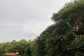 Khu du lịch sinh thái Đảo Cò (Hải Phòng).