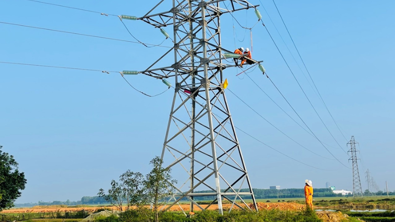 EVNNPC triển khai nâng cấp sửa chữa lưới điện. 