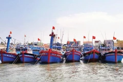 Các tỉnh, thành phố có biển tăng cường kiểm tra, kiểm soát các tàu cá ra vào cảng để chống đánh bắt IUU.