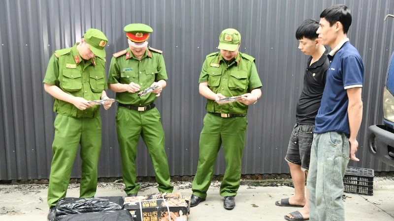 Tuyên Quang phát hiện hơn 5,2 tấn lạp xưởng đông lạnh không rõ nguồn gốc