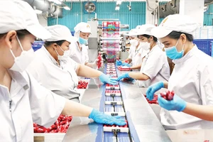 Sản xuất xúc xích phục vụ mùa Tết tại Công ty cổ phần Việt Nam Kỹ nghệ Súc sản-VISSAN. (Ảnh CTV)