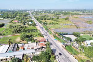 Tỉnh lộ 8, khu vực Củ Chi, Thành phố Hồ Chí Minh có đất nông nghiệp, nằm trong dự án cao tốc Thành phố Hồ Chí Minh-Mộc Bài.