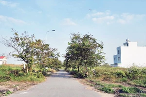 Dự án xây dựng hạ tầng kỹ thuật Khu tái định cư Long Bửu (giai đoạn 2 - Tiểu khu 2) phục vụ tái định cư dự án Đường sắt tốc độ cao Bắc- Nam xây dựng 10 năm nay nhưng vẫn còn dở dang. (Ảnh HƯƠNG MỸ)