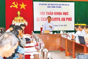 Các nhà nghiên cứu công bố chứng tích sống động về tín ngưỡng Chăm cổ tại di tích An Phú, tỉnh Gia Lai.