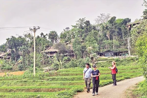 Du khách nước ngoài trải nghiệm, khám phá hệ sinh thái ở Pù Luông, tỉnh Thanh Hóa