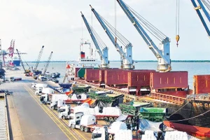 Hoạt động xuất, nhập khẩu hàng hóa qua Cảng quốc tế Long An.