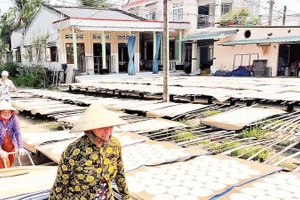 Người dân làng nghề Sơn Đốc tất bật phơi bánh phồng những ngày cận Tết.