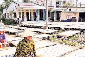 Người dân làng nghề Sơn Đốc tất bật phơi bánh phồng những ngày cận Tết.