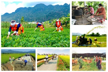 Ảnh minh họa.(Nguồn: Báo điện tử Chính phủ)