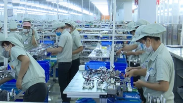 [Video] Hướng dẫn thủ tục hưởng trợ cấp thất nghiệp cho người lao động tại Hà Nội 