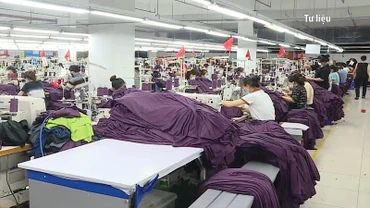[Video] Tham gia vào “cuộc đua” chuyển đổi xanh: Các doanh nghiệp cần lưu ý gì?