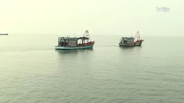 [Video] Bàn giải pháp phát triển ngành thủy sản bền vững