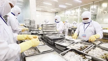 [Video] Tăng cường kiểm tra, giám sát hàm lượng asen vô cơ trong cá và thủy sản