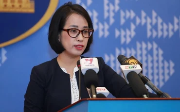 Việt Nam thực hiện nhất quán chính sách tôn trọng và bảo đảm quyền tự do tín ngưỡng, tôn giáo 