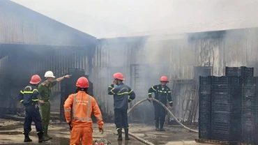 Lực lượng chức năng nỗ lực dập lửa tại khu vực sản xuất nấm.